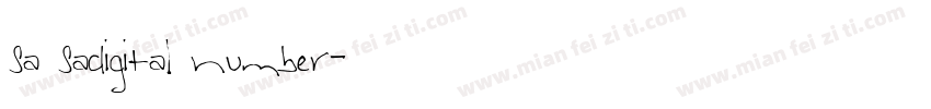 sa sadigital number字体转换
